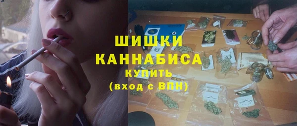 винт Бородино