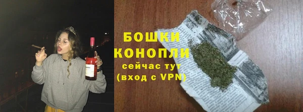 винт Бородино