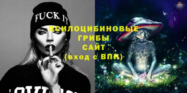 винт Бородино