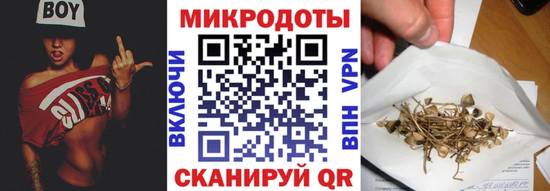 Псилоцибиновые грибы GOLDEN TEACHER  MEGA маркетплейс  Нолинск  как найти закладки 